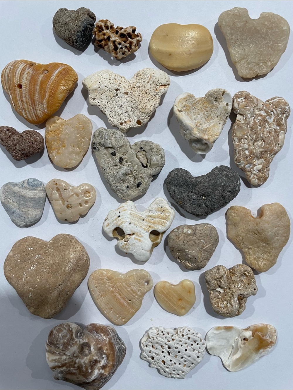 Collection of heart shaped rocks and seashells 20+ pieces